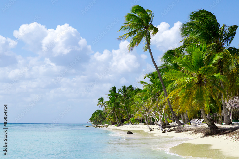 natürlicher Strand mit Palmen in der dominikanischen Republik