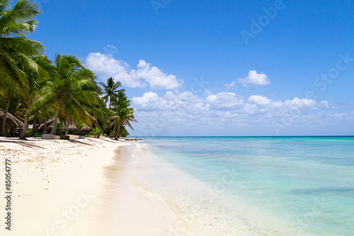 Fototapeta Naklejka Na Ścianę i Meble -  natürlicher Strand mit Palmen in der dominikanischen Republik