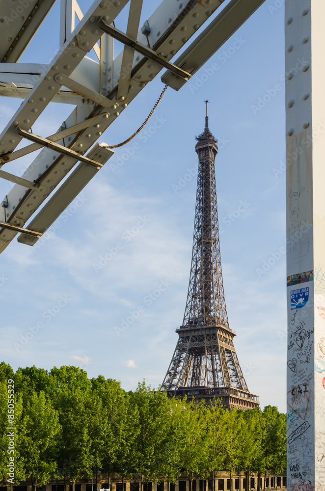 The Eiffel Tower under the bridge - Paris, France