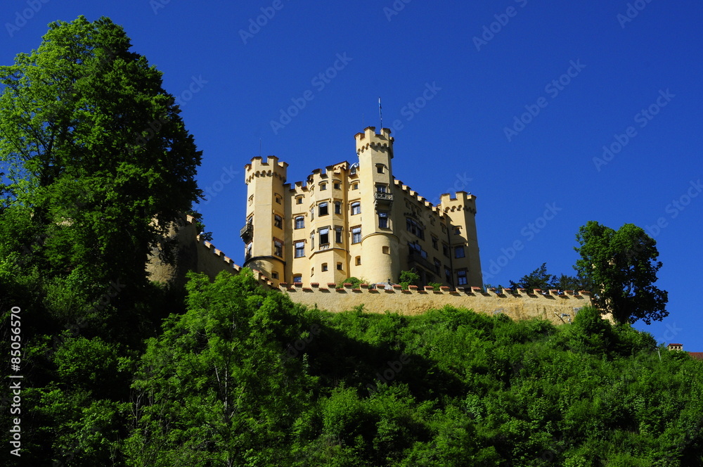 Beautiful castle in Schwangau, Bavaria, Germany 
