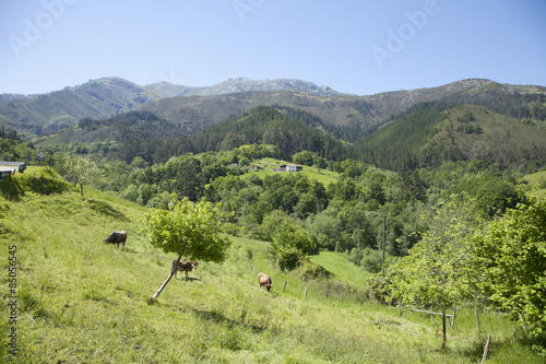 Asturian countryside