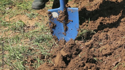 Wallpaper Mural Man digging soil in garden using shovel - HD 1080 video Torontodigital.ca