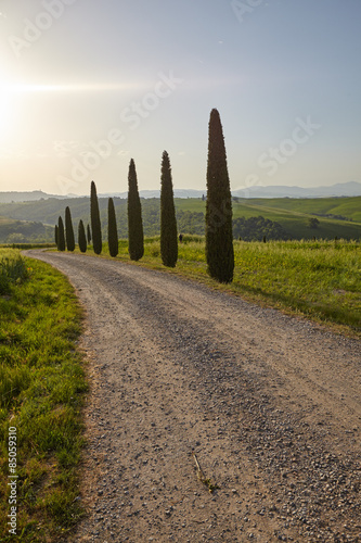A rural road in Tuscany  Italy