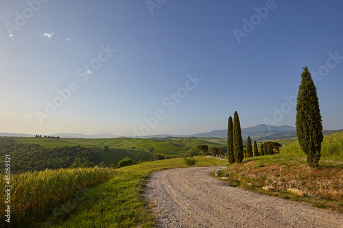 A rural road in Tuscany  Italy