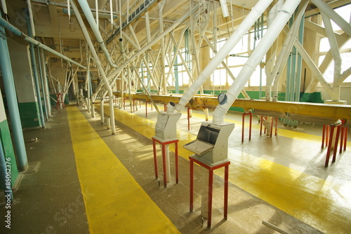 Flour-miller equipment. Fragment