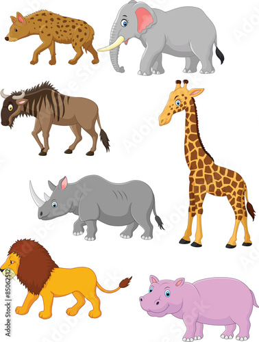 Collection animal africa 