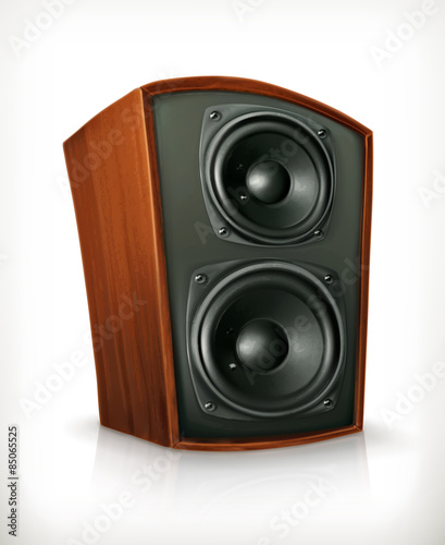 Audio speakers in plane wooden body