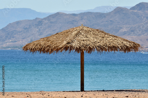 Straw Beach Umbrella