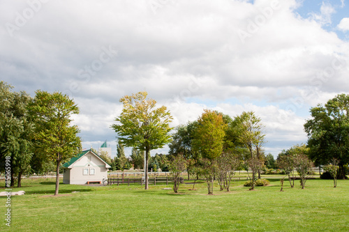 Wallpaper Mural 草原と小屋のある風景 Torontodigital.ca