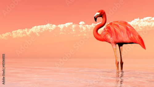 Pink flamingo - 3D render