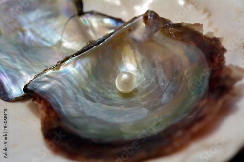 Open oyster with white pink pearl