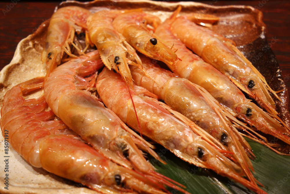 shrimp shrimp