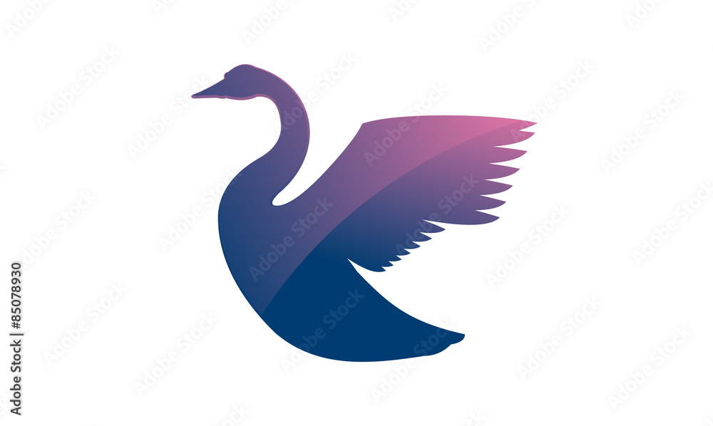 Naklejka premium Colorful Swan Illustration