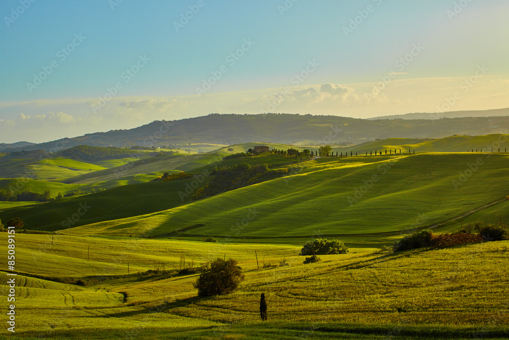 Tuscany hills. Italy. May.