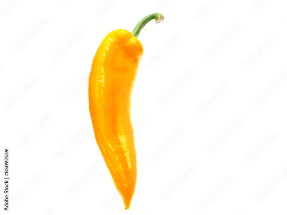 pointed capsicum pointed capsicum
