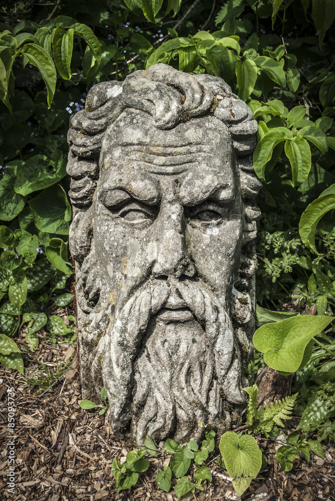 Bearded Stone Head