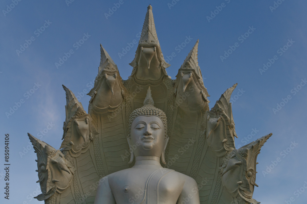 Fototapeta premium Statue of Buddha 