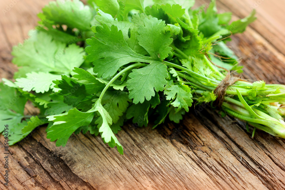 Bunch of fresh coriander on a wooden table Bunch of fresh coriander on a wooden table
