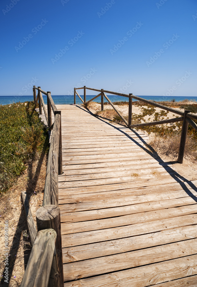 beach wooden boardwalk
