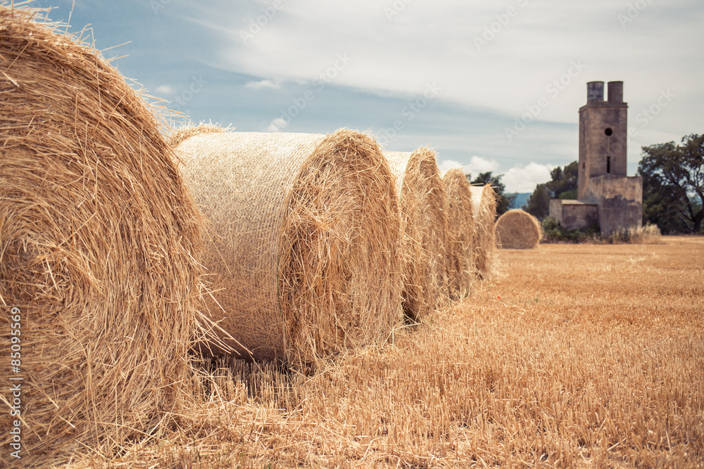 Fototapeta premium Straw bales field