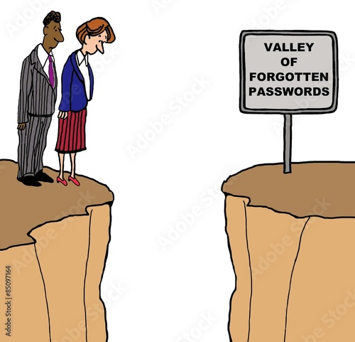 Cartoon of businesspeople looking down into a deep valley, the sign says 'valley of forgotten passwords'.