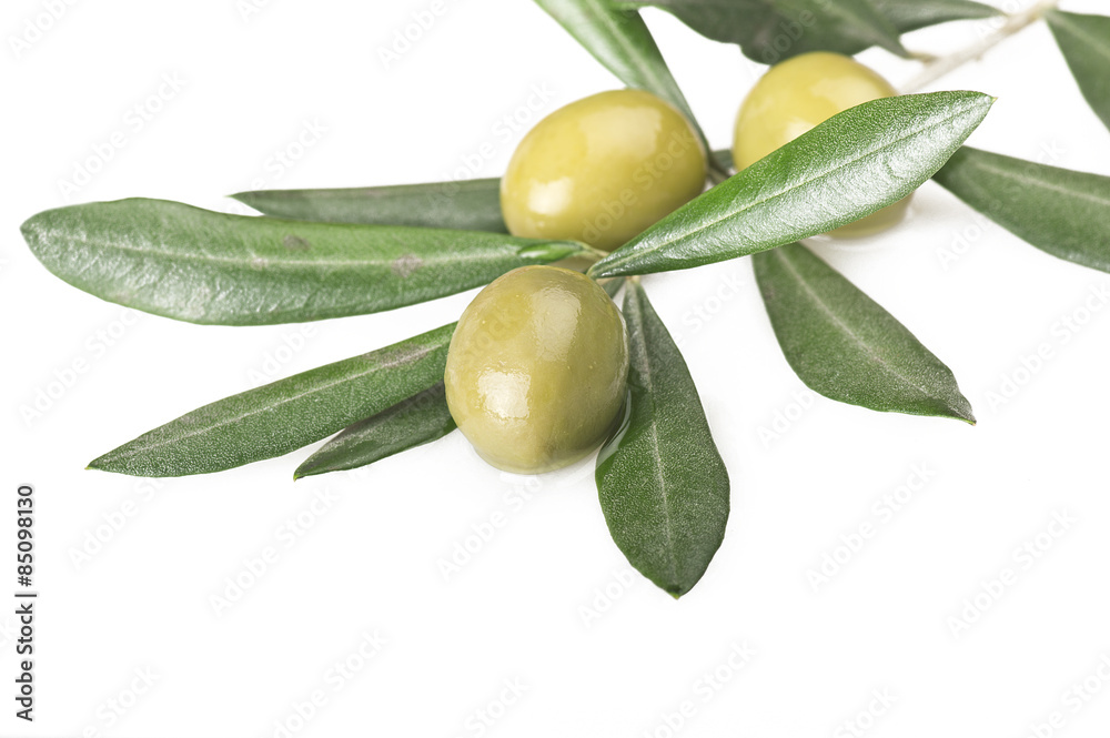 olive branch with three olives on the white