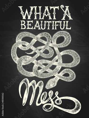 Illustration of a snake with "What a beutiful mess" hand drawn quote, white on the blackboard background