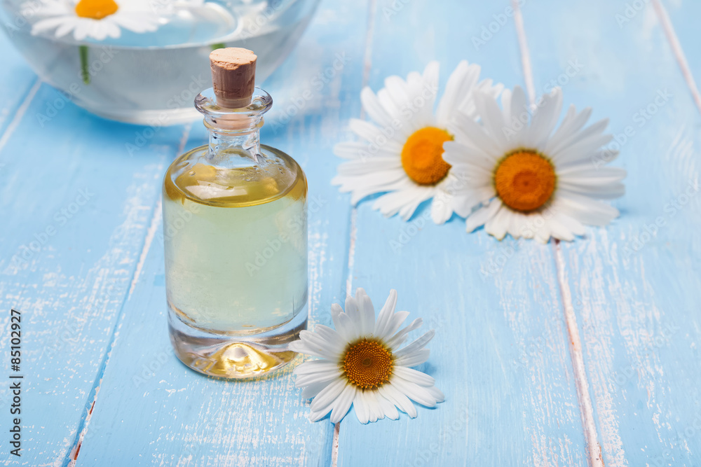 Aroma oil and camomile flowers on blue wooden background Aroma oil and camomile flowers on blue wooden background