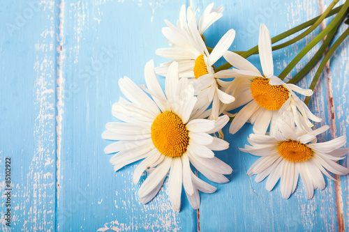 Fototapeta Naklejka Na Ścianę i Meble -  Daisies on the blue wooden table close-up