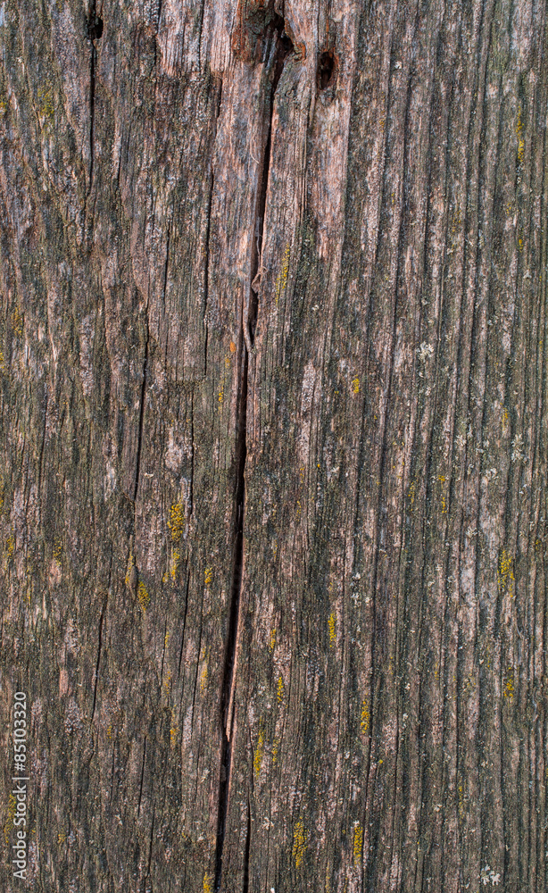 Obraz premium Very old wooden board