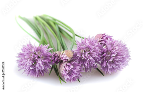 Chives  flowers