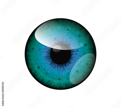 Vector beautiful blue,green sea eye