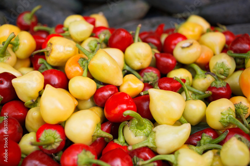 Red and white pepper on farmers market Fresh raw vegetable selling on retail place