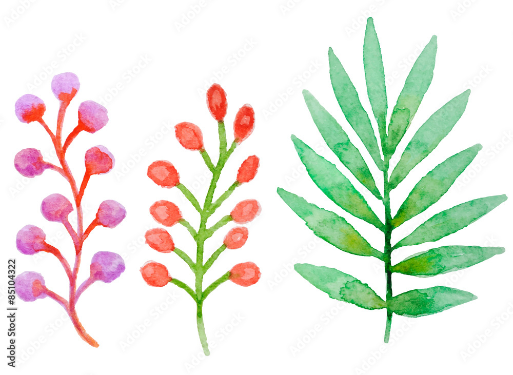 Watercolor floral elements