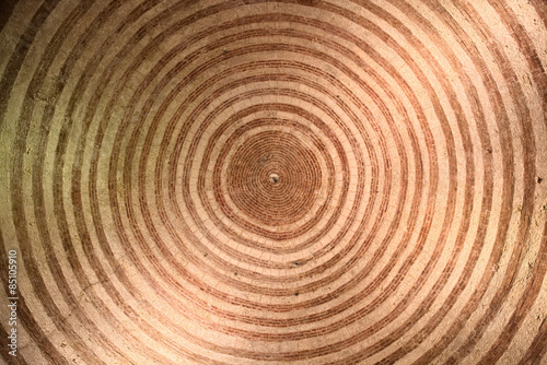 Design perfect concentric circles on the ceiling of the chapel