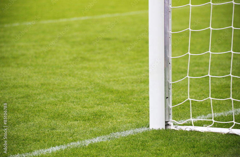 Fototapeta premium Tor, Fussballtor, Fußballplatz - Naturrasen in einem Stadion