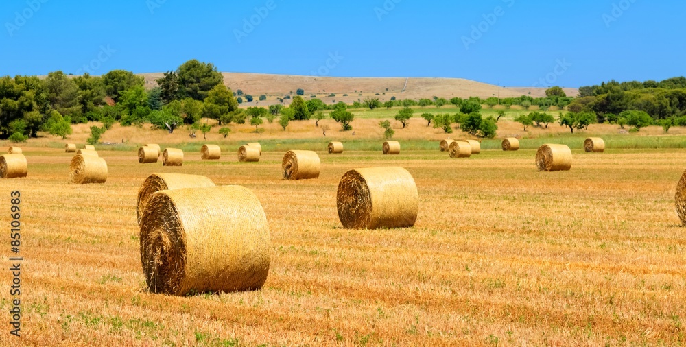 a field with straw bales after harvest as background