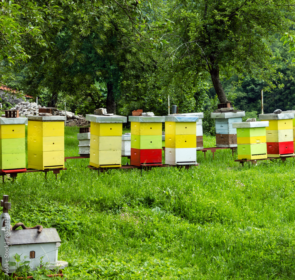 Colored bee houses on meadow in countryside of Montenegro. Colored bee houses on meadow in countryside of Montenegro.