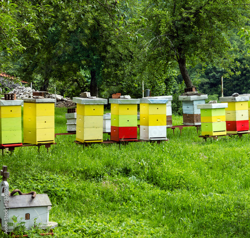 Colored bee houses on meadow in countryside of Montenegro.