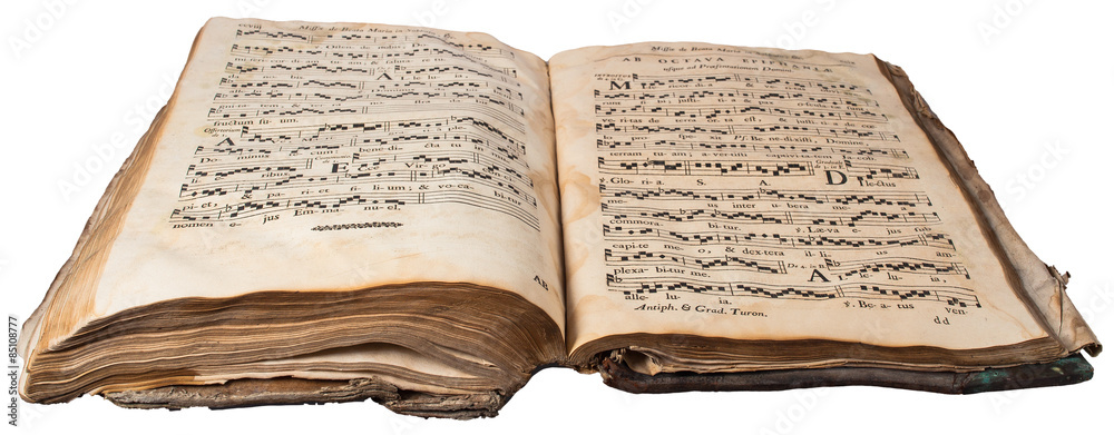 Obraz premium Old book