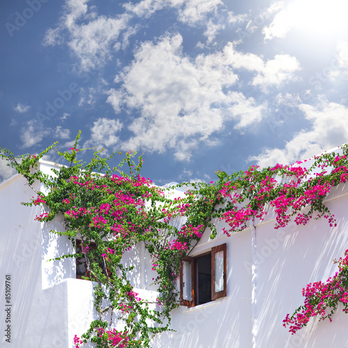White washed house with bouganevillea
