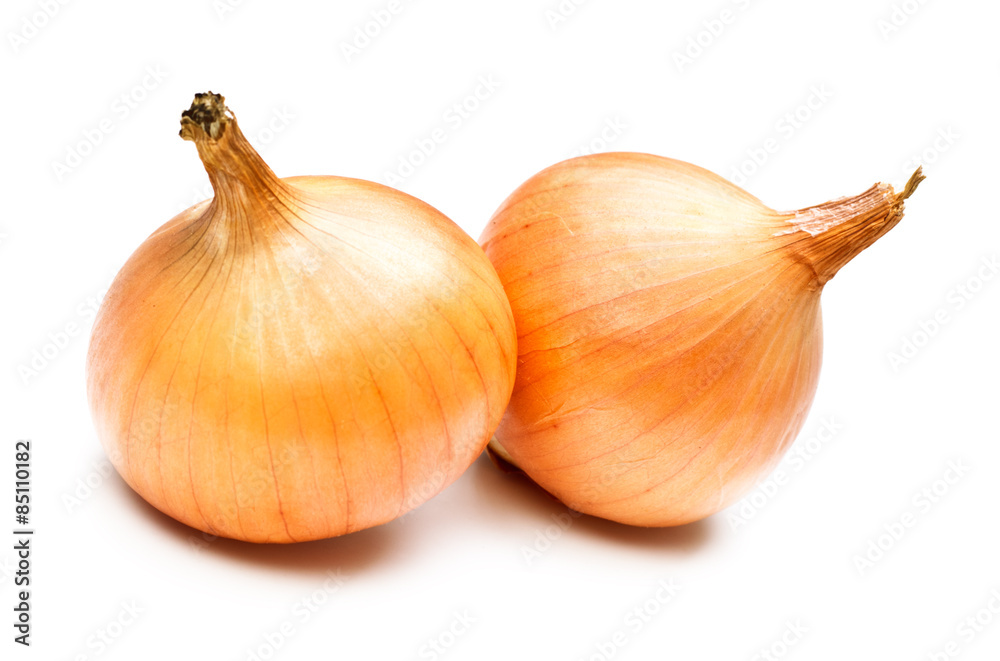 Fototapeta premium Two Onions