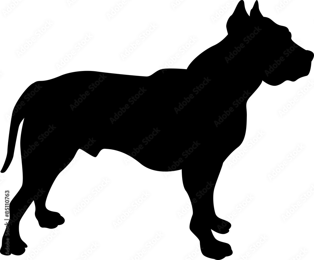 Pitbull dog silhouette