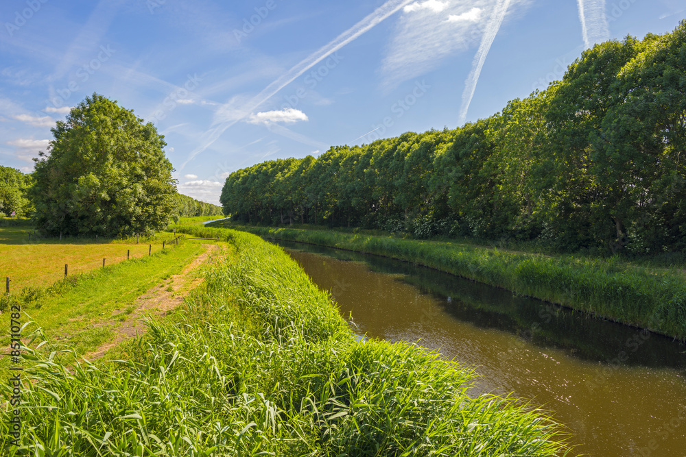 Canal through a rural landscape in spring