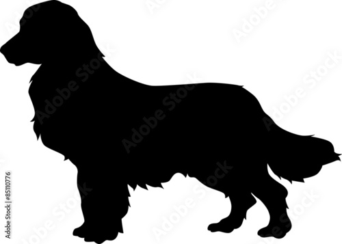 Dog silhouette