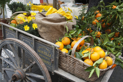 basket citrus on an ancient chariot photo