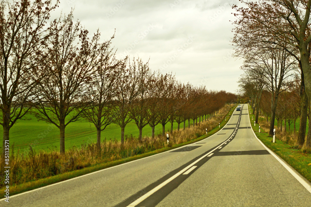 Fototapeta premium Country landscape and road
