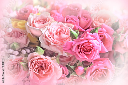Roses bouquet on soft background