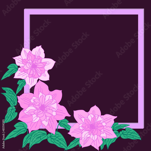 Pink terry clematis
