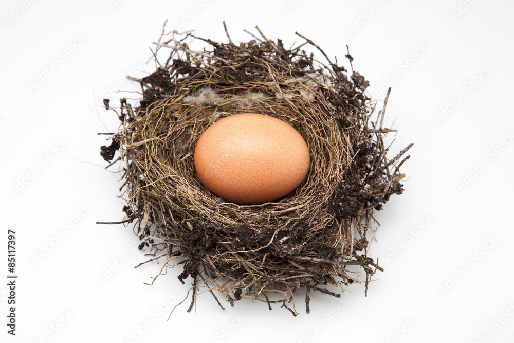 nido con huevo